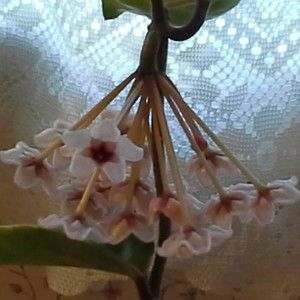 Welcome to my closet!